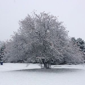 Meet your Posher, Moizzah